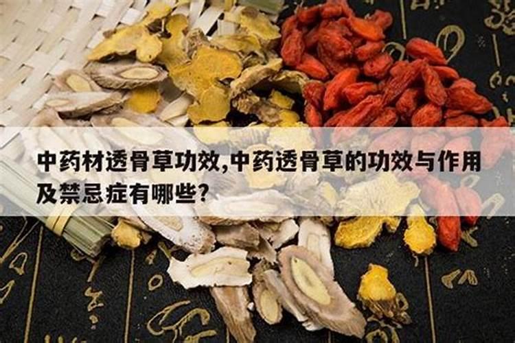 中药太岁的功效与作用禁忌症有哪些