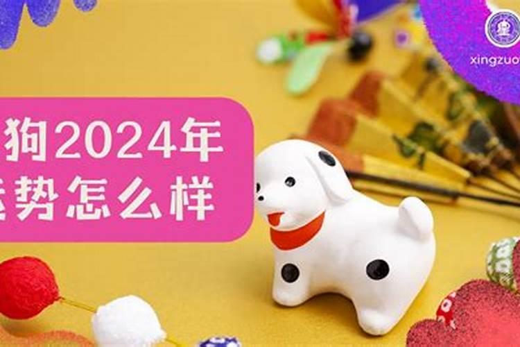 2024年狗人的全年运势如何