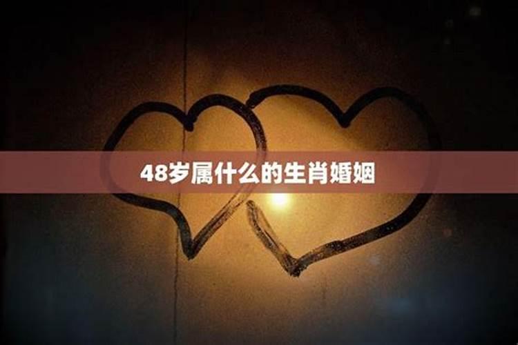 34岁属什么生肖婚配