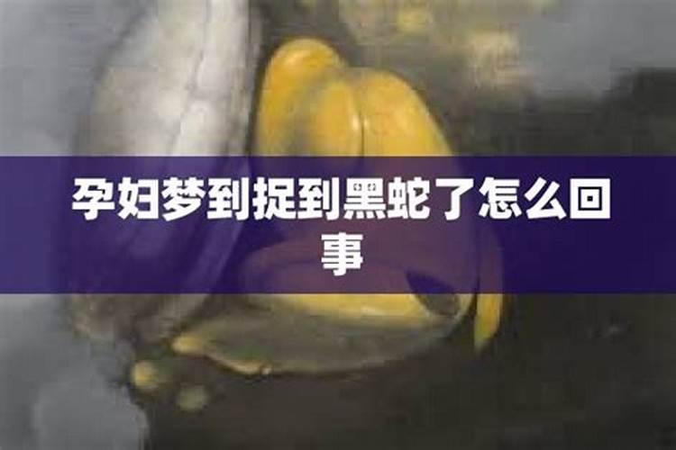 梦到妈妈抓蛇怎么回事