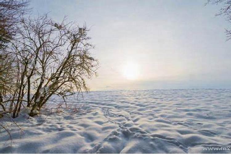 梦见雪地是什么意思