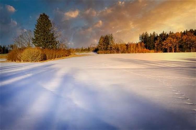 梦见雪地是什么意思