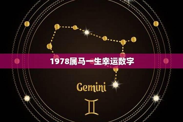 1978属马一生吉祥数字