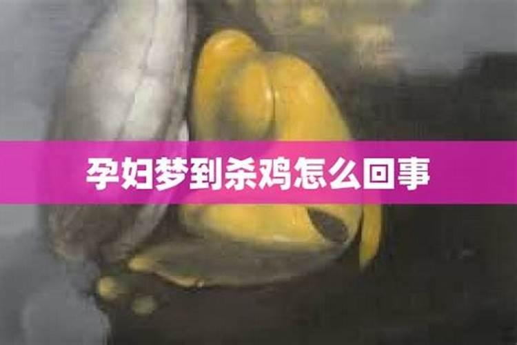 孕妇梦到鸡死了