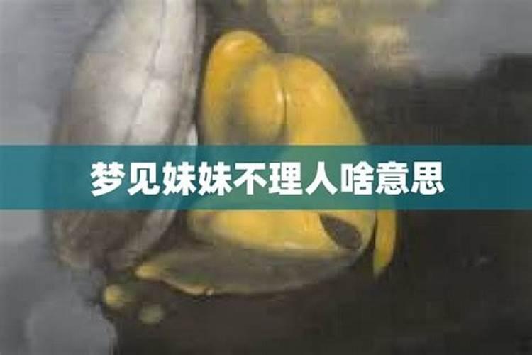 梦见表妹不理我了