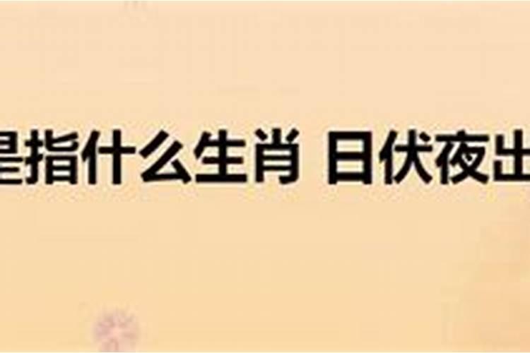 日伏夜出是什么生肖插翅难飞是什么生肖