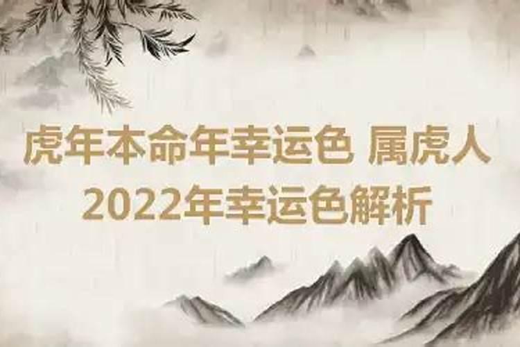 最新属牛2023年运势如何