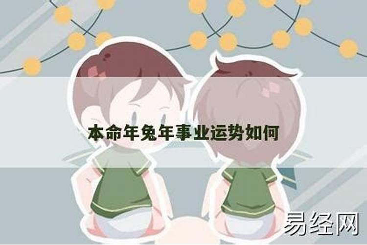 属猪跟属猪的相配吗婚姻如何