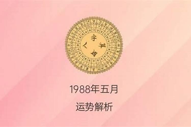 1988年二月初二生的人的命格