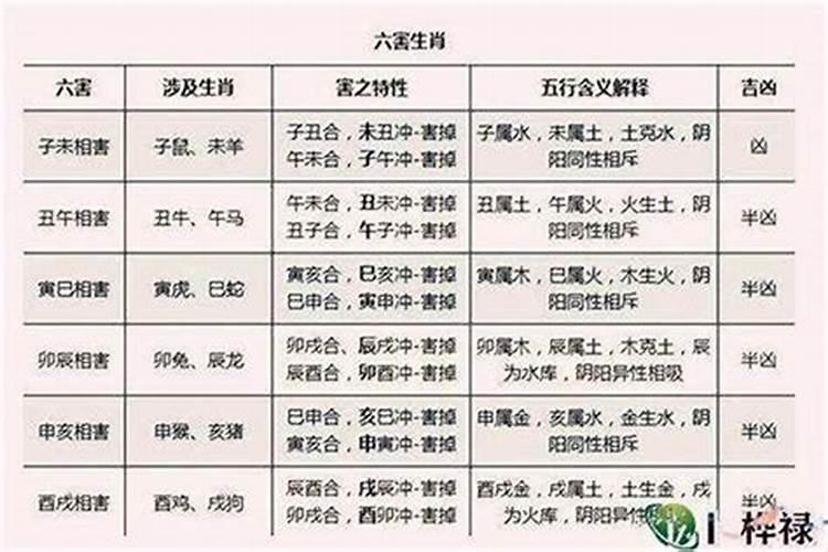 属相婚配和八字哪个准