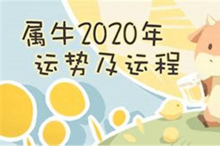 属牛2020年腊月运势及运程