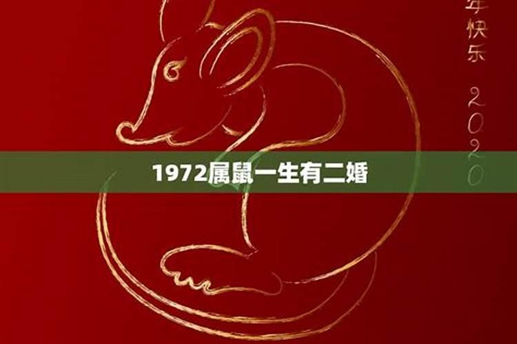 1995跟1996结婚配吗