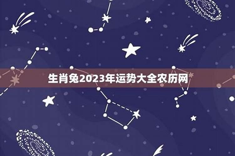 肖兔者2023年运势