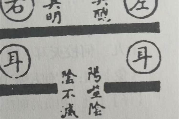 八字身旺,食伤旺是什么意思