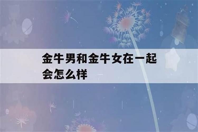 怎么跟金牛男相处能永远在一起