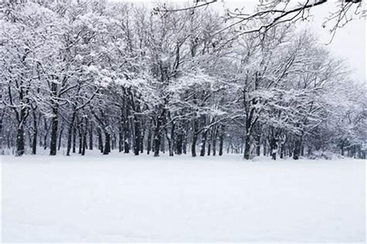 梦见狂风暴雪袭来是什么意思