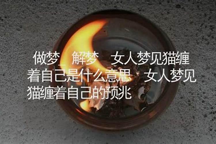 梦见猫搂着自己脖子睡觉什么意思呀周公解梦