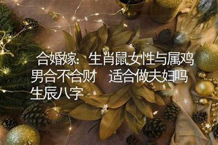 生肖鸡今年鼠年适合结婚吗