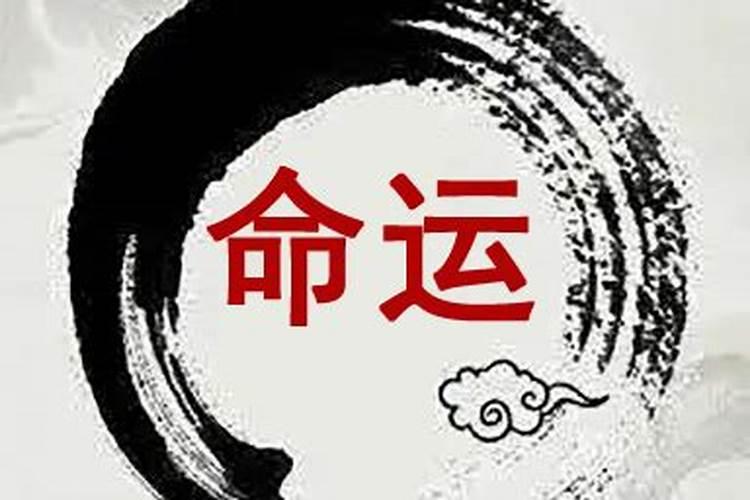 两个属相合八字会不合吗