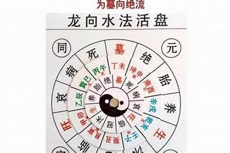 本命年虎注意什么生肖配对最好