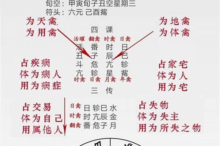 风水里白虎代表什么