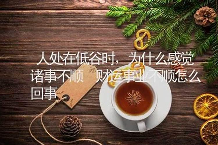 3月的龙命运怎么样