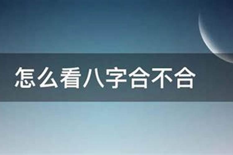 1997年属牛的婚配哪个属相最好