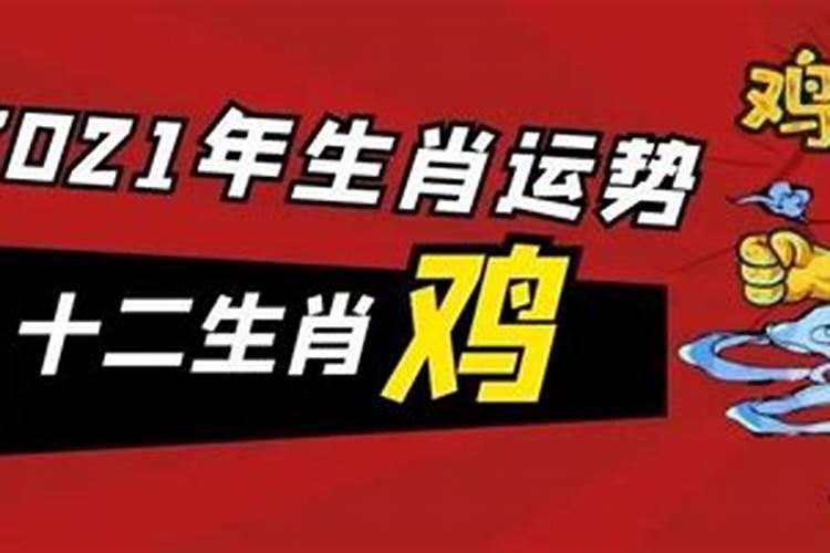 虎年属鸡运势2022年运势