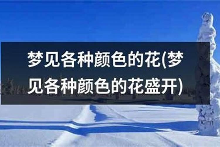 做梦梦见飘雪花是什么意思