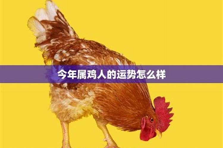 属鸡的今年7月份运势如何