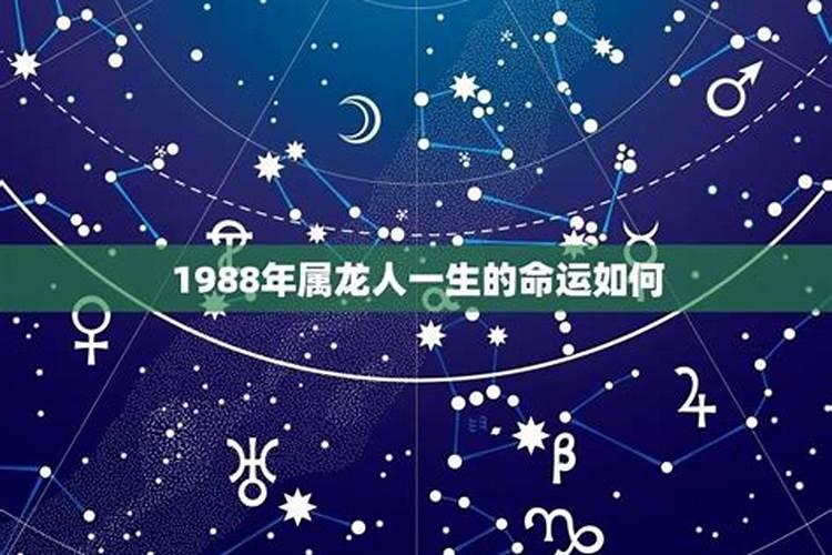 1988属龙人一生命运