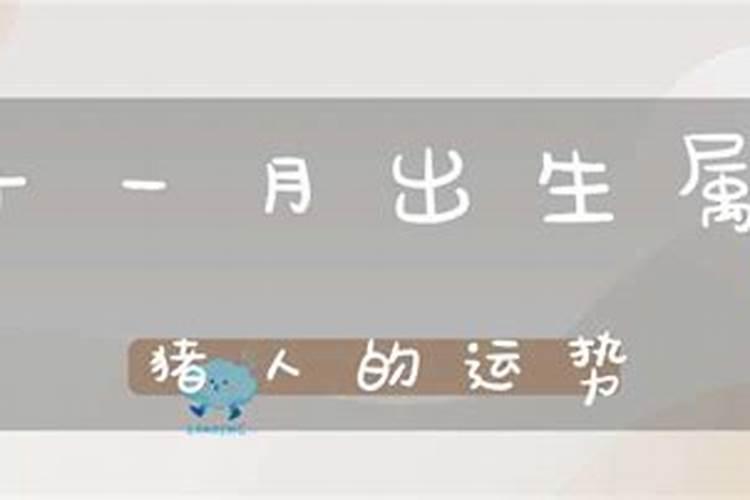 八字年柱纳音相生