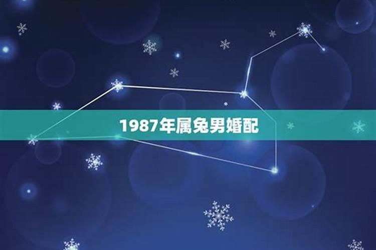 1987年属兔的婚配属相