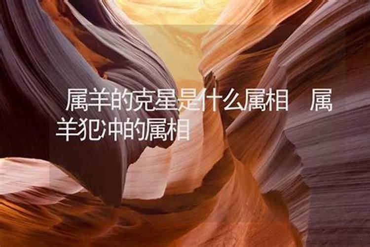 犯小人的克星是什么生肖