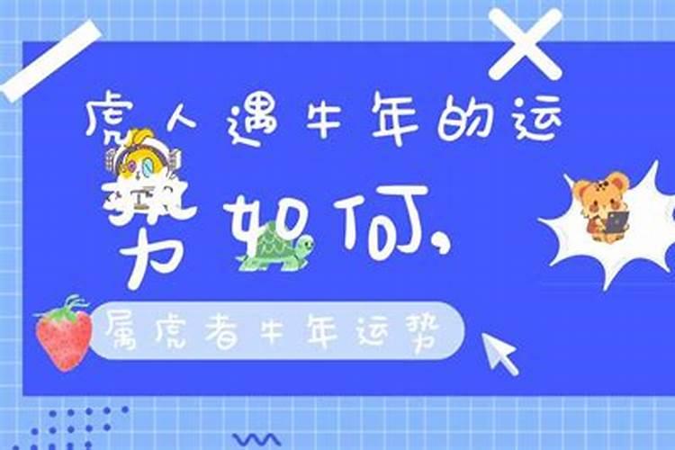 八字里将星多好吗