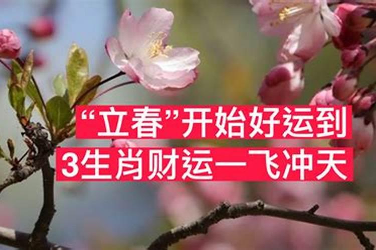 清明节有规定哪一天吗