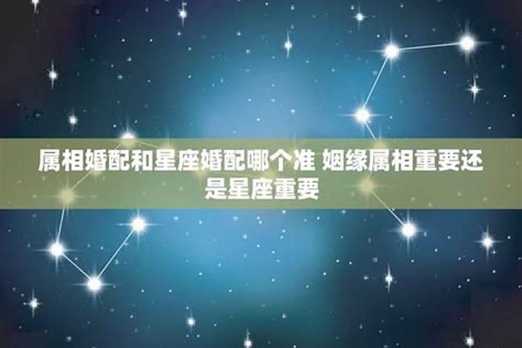 结婚属相重要还是星座重要