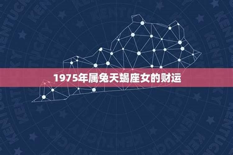 属兔人在2023年运势如何呢