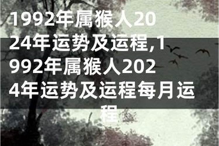 属马2023年运势精准