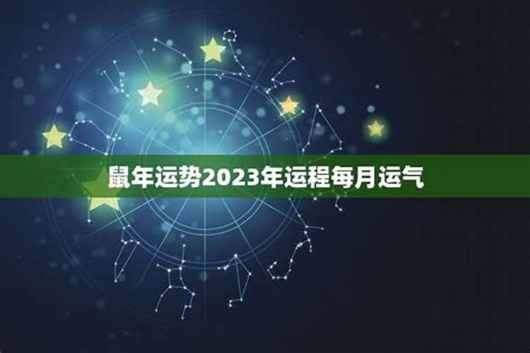 鼠年运势2021运势详解月份