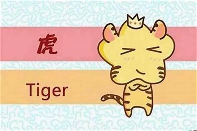 生肖猪可以在虎年结婚吗