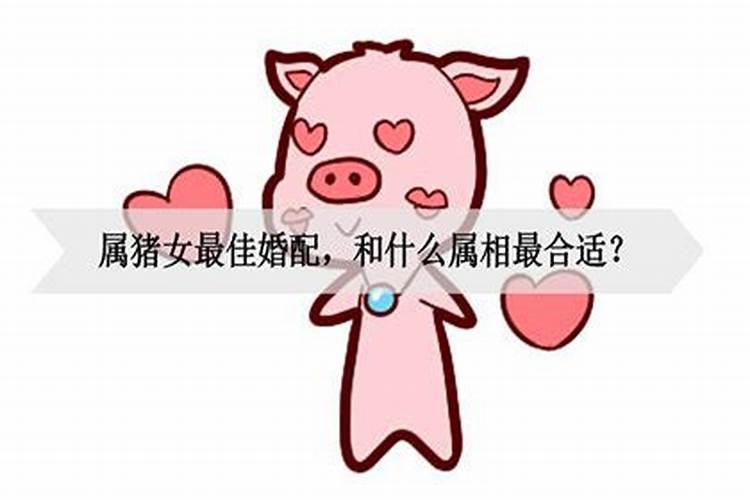 属猪女与什么属相婚配最好