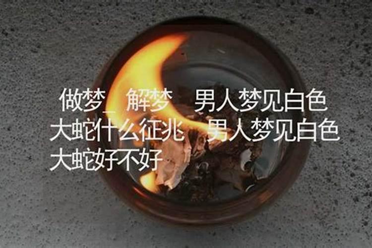 做梦梦到了大蛇好不好