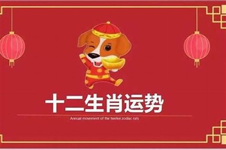 属狗的人在什么年份运气好