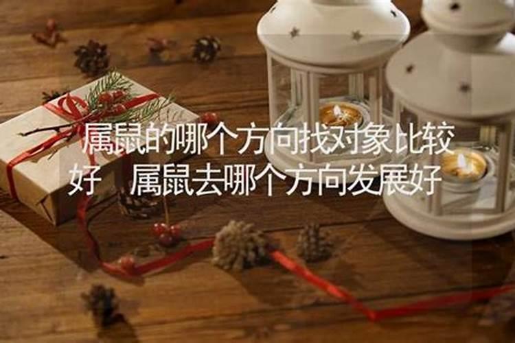 属鼠的找属什么的对象