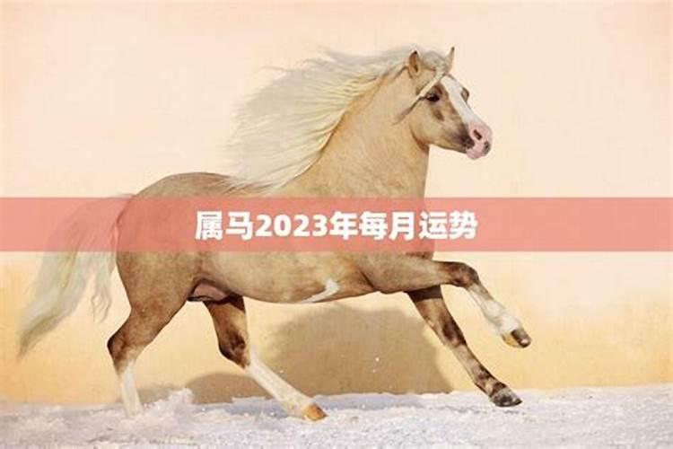 属马2023五月份的运势如何样呀