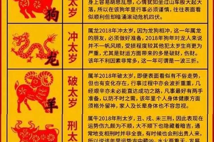 犯太岁狗如何化解