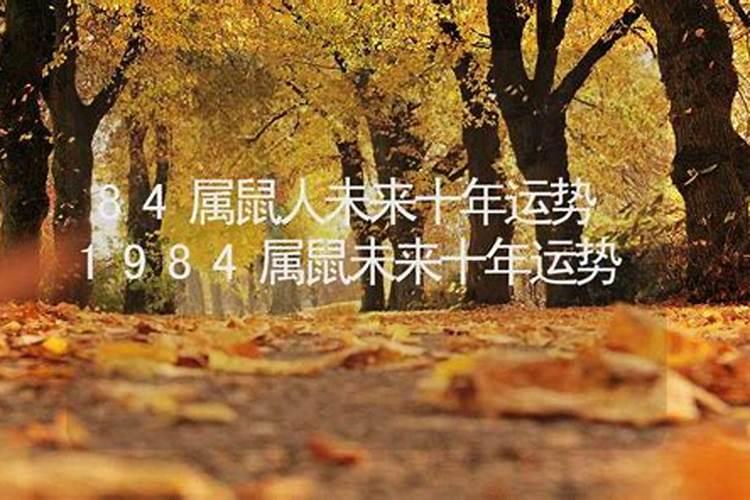 属鼠兔年运势2023年运程