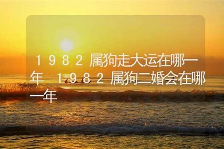 1982年属狗哪年行大运