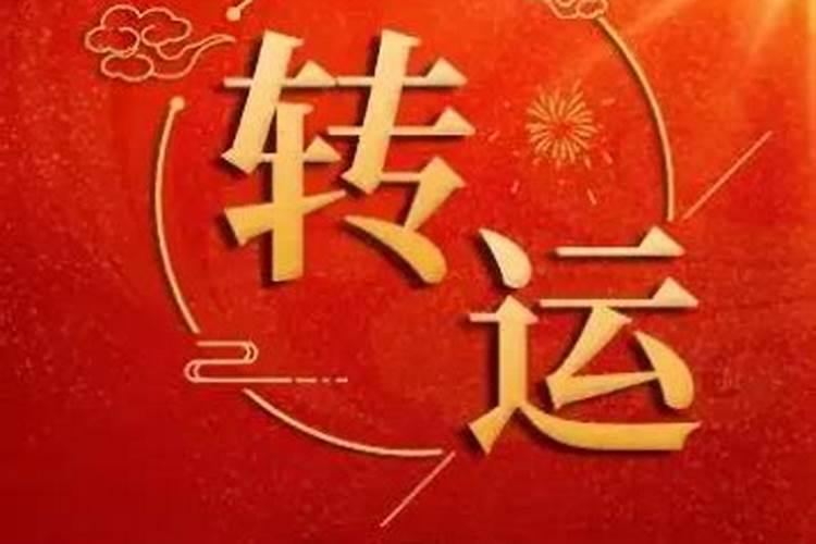 本命年鼠今年运势如何